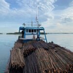 WNA Asal Singapura Danai Penyelundupan 12 Ribu Batang Kayu Ilegal Ke Singapura