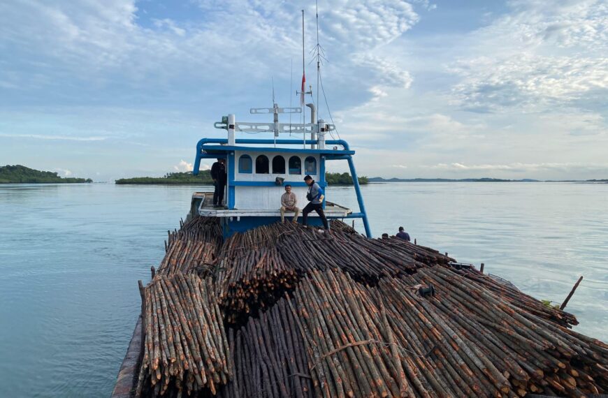 WNA Asal Singapura Danai Penyelundupan 12 Ribu Batang Kayu Ilegal Ke Singapura